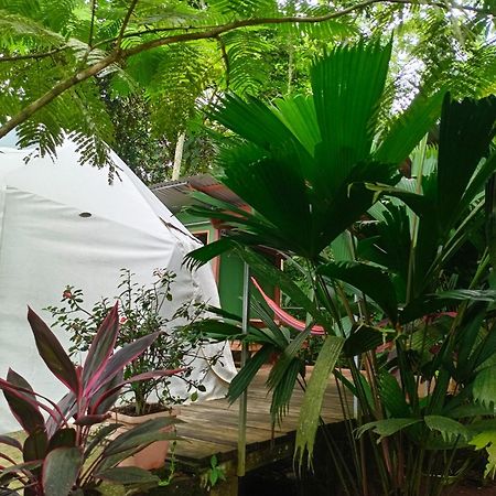 Ferienwohnung Glamping Naioth Guápiles Exterior foto