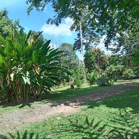 Ferienwohnung Glamping Naioth Guápiles Exterior foto