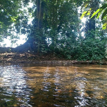 Ferienwohnung Glamping Naioth Guápiles Exterior foto