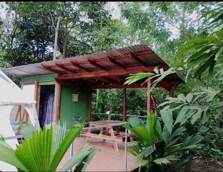 Ferienwohnung Glamping Naioth Guápiles Exterior foto