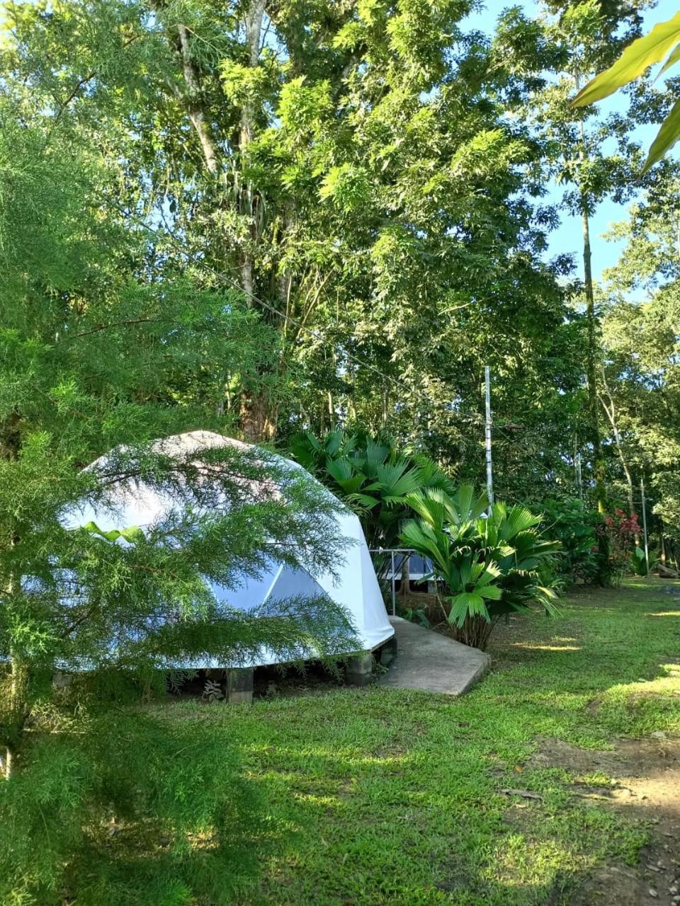 Ferienwohnung Glamping Naioth Guápiles Exterior foto