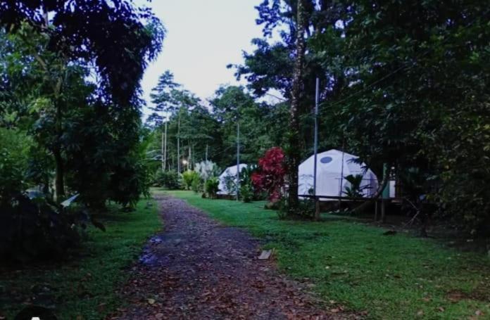 Ferienwohnung Glamping Naioth Guápiles Exterior foto