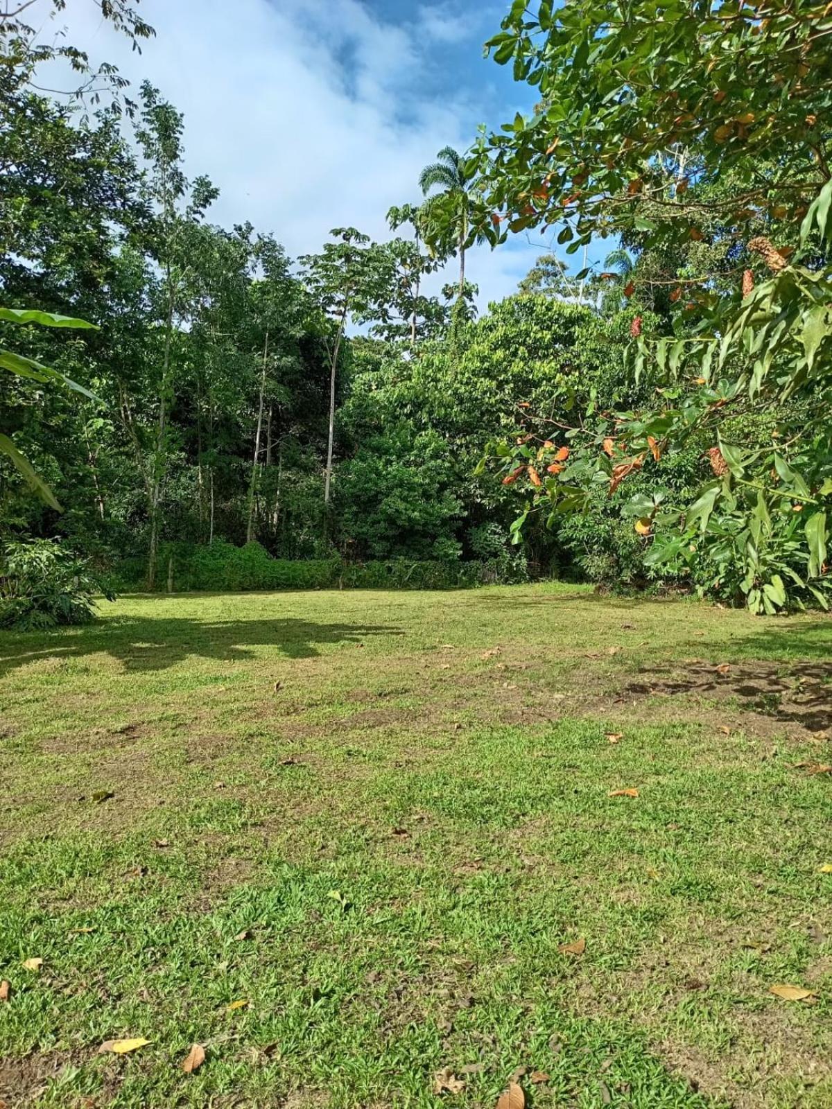 Ferienwohnung Glamping Naioth Guápiles Exterior foto