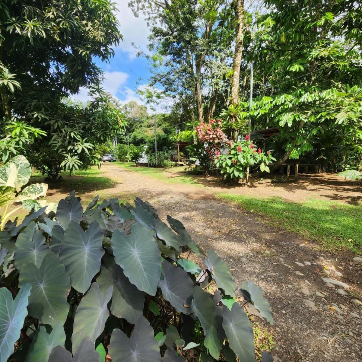 Ferienwohnung Glamping Naioth Guápiles Exterior foto