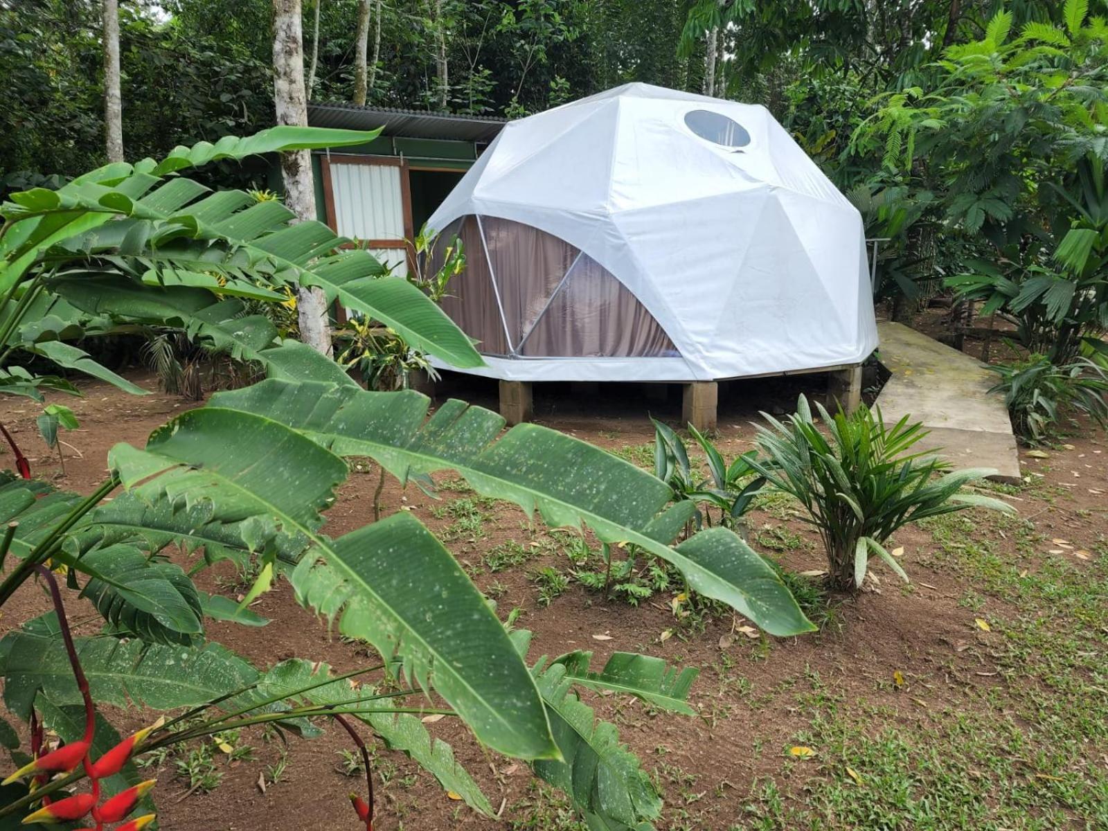 Ferienwohnung Glamping Naioth Guápiles Exterior foto