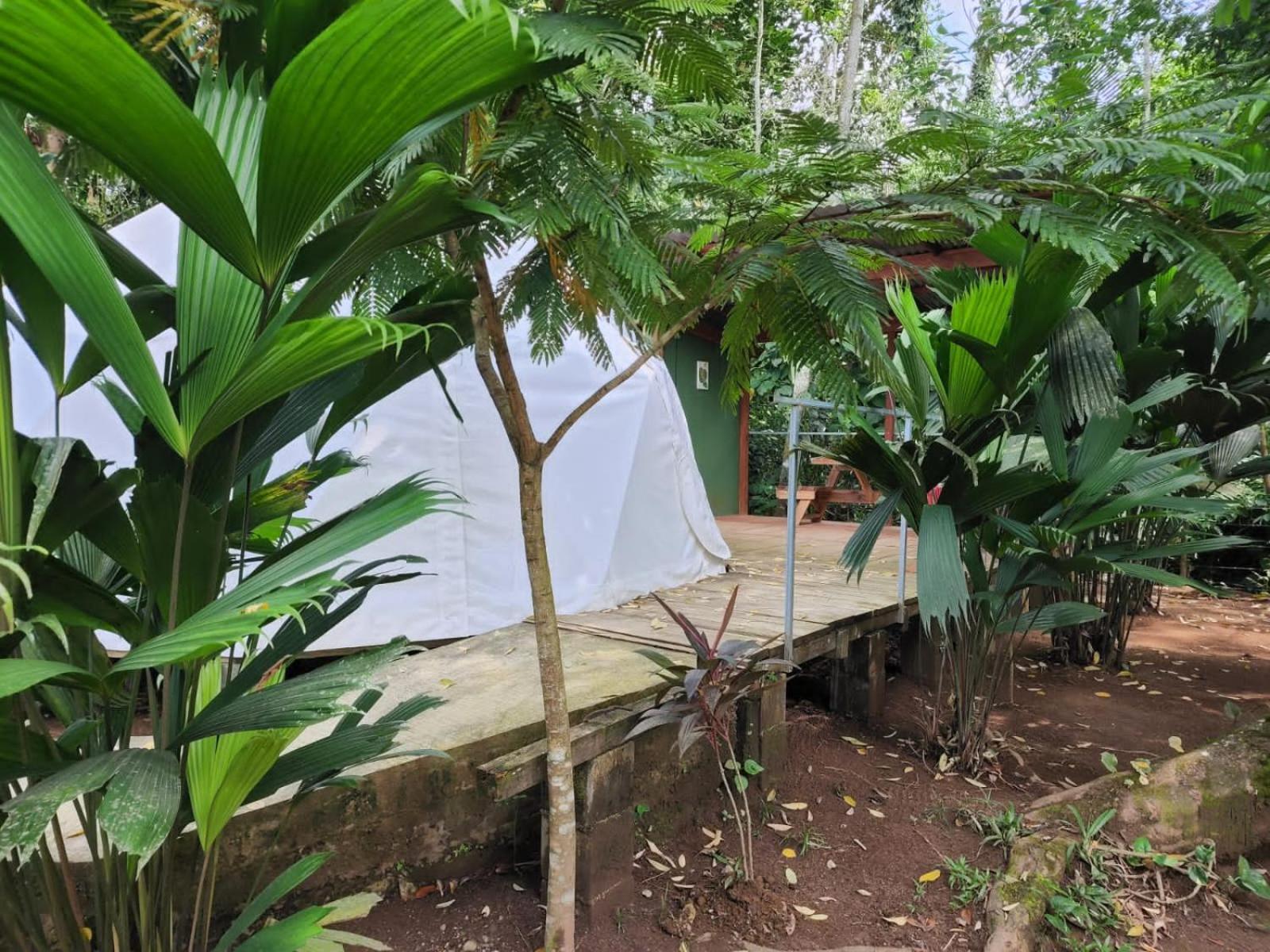 Ferienwohnung Glamping Naioth Guápiles Exterior foto