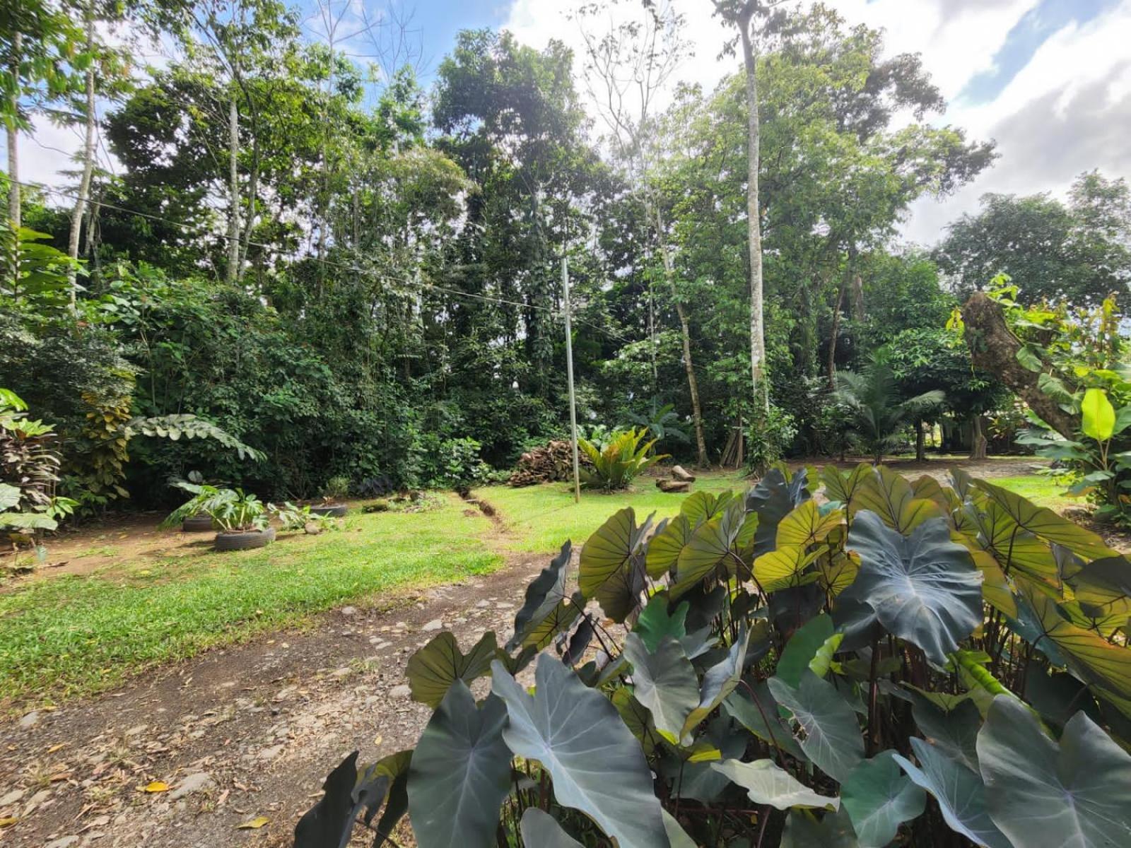 Ferienwohnung Glamping Naioth Guápiles Exterior foto