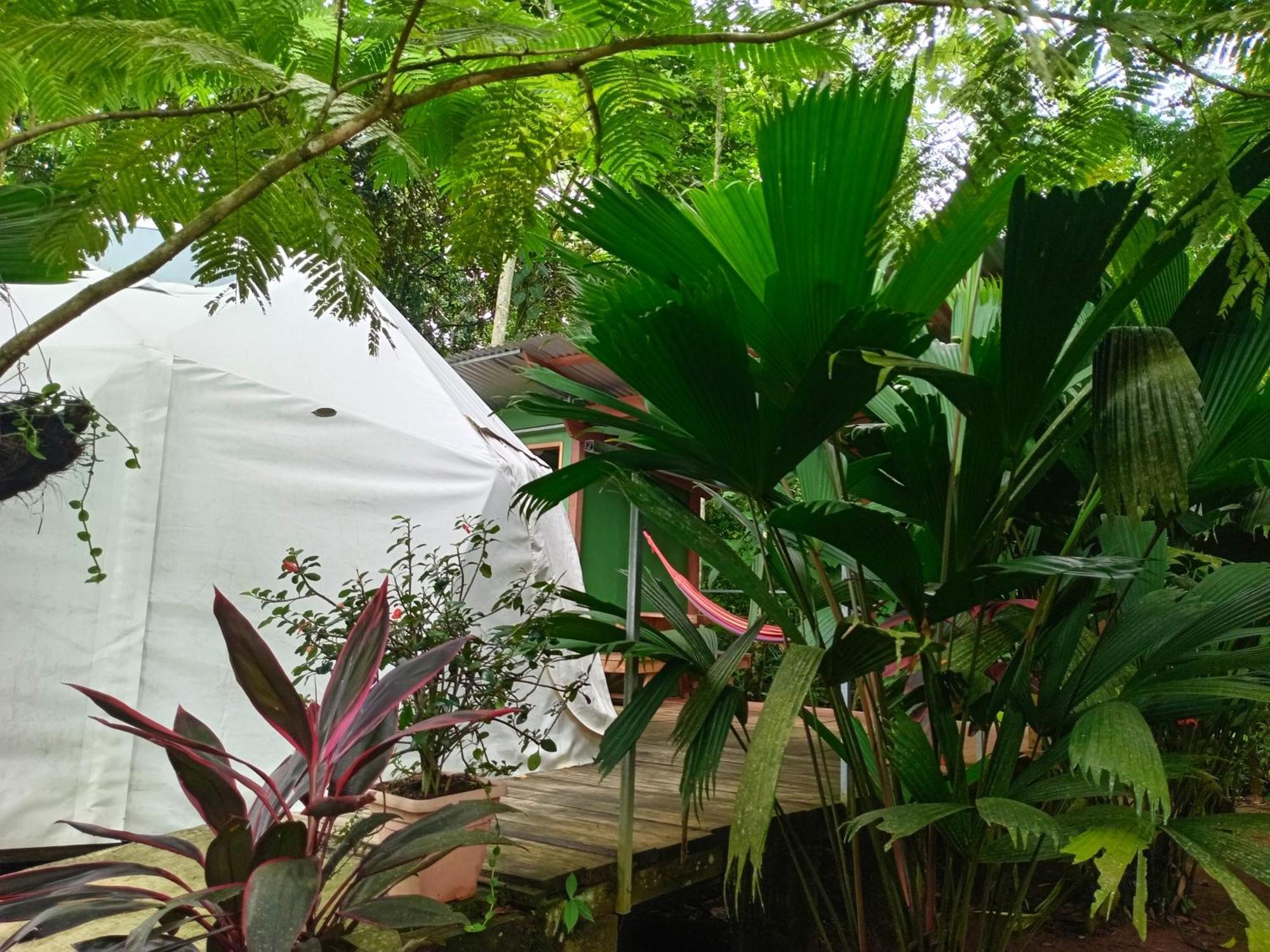 Ferienwohnung Glamping Naioth Guápiles Exterior foto