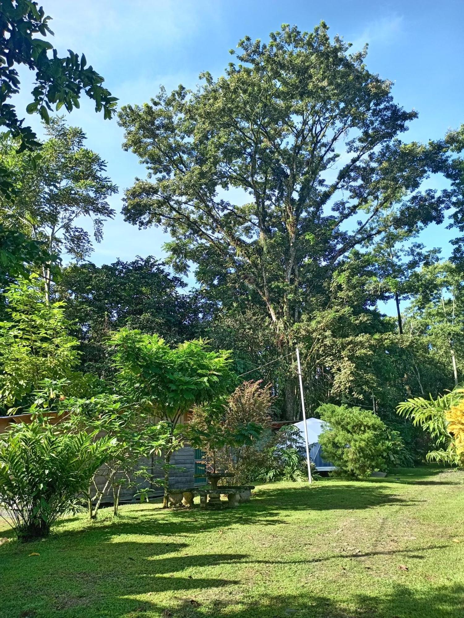 Ferienwohnung Glamping Naioth Guápiles Exterior foto