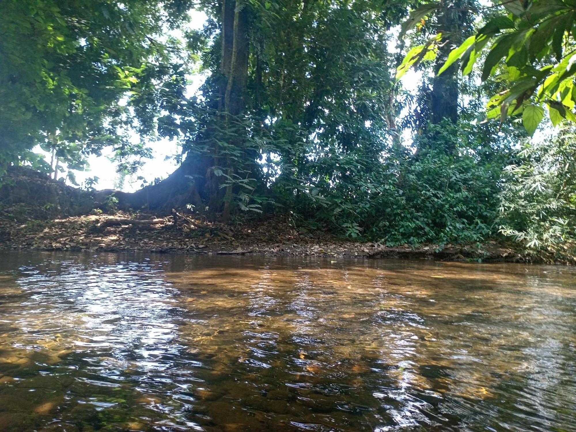 Ferienwohnung Glamping Naioth Guápiles Exterior foto