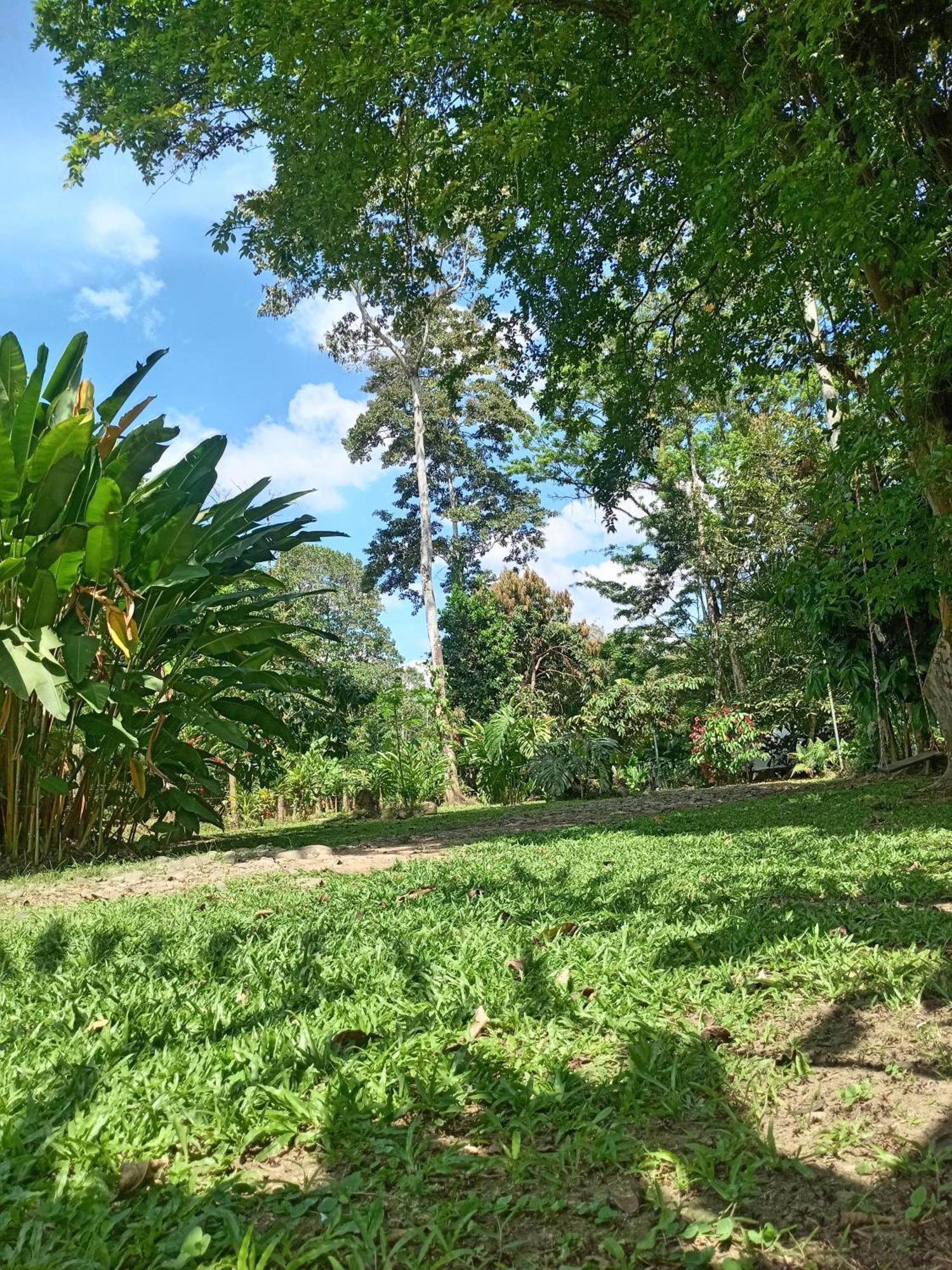 Ferienwohnung Glamping Naioth Guápiles Zimmer foto