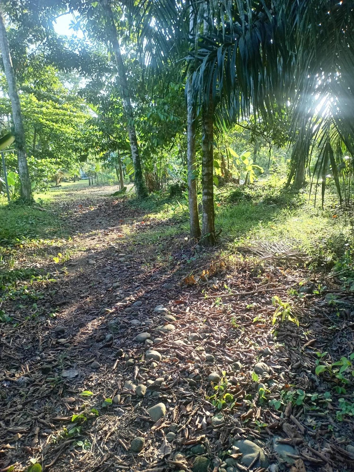 Ferienwohnung Glamping Naioth Guápiles Exterior foto